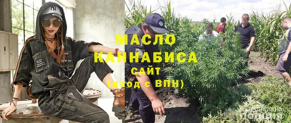 ешки Арсеньев