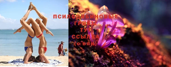 ешки Арсеньев
