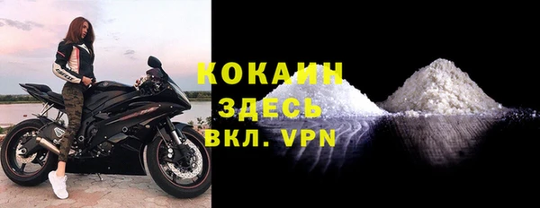 ешки Арсеньев