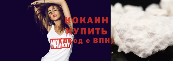 ешки Арсеньев