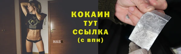 ПСИЛОЦИБИНОВЫЕ ГРИБЫ Тавда