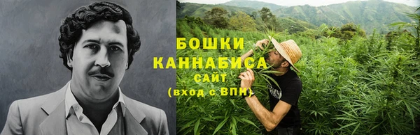 трава Тайга
