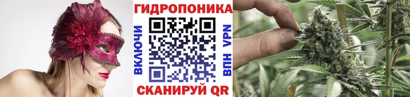 Бошки марихуана OG Kush  MEGA вход  Гурьевск 